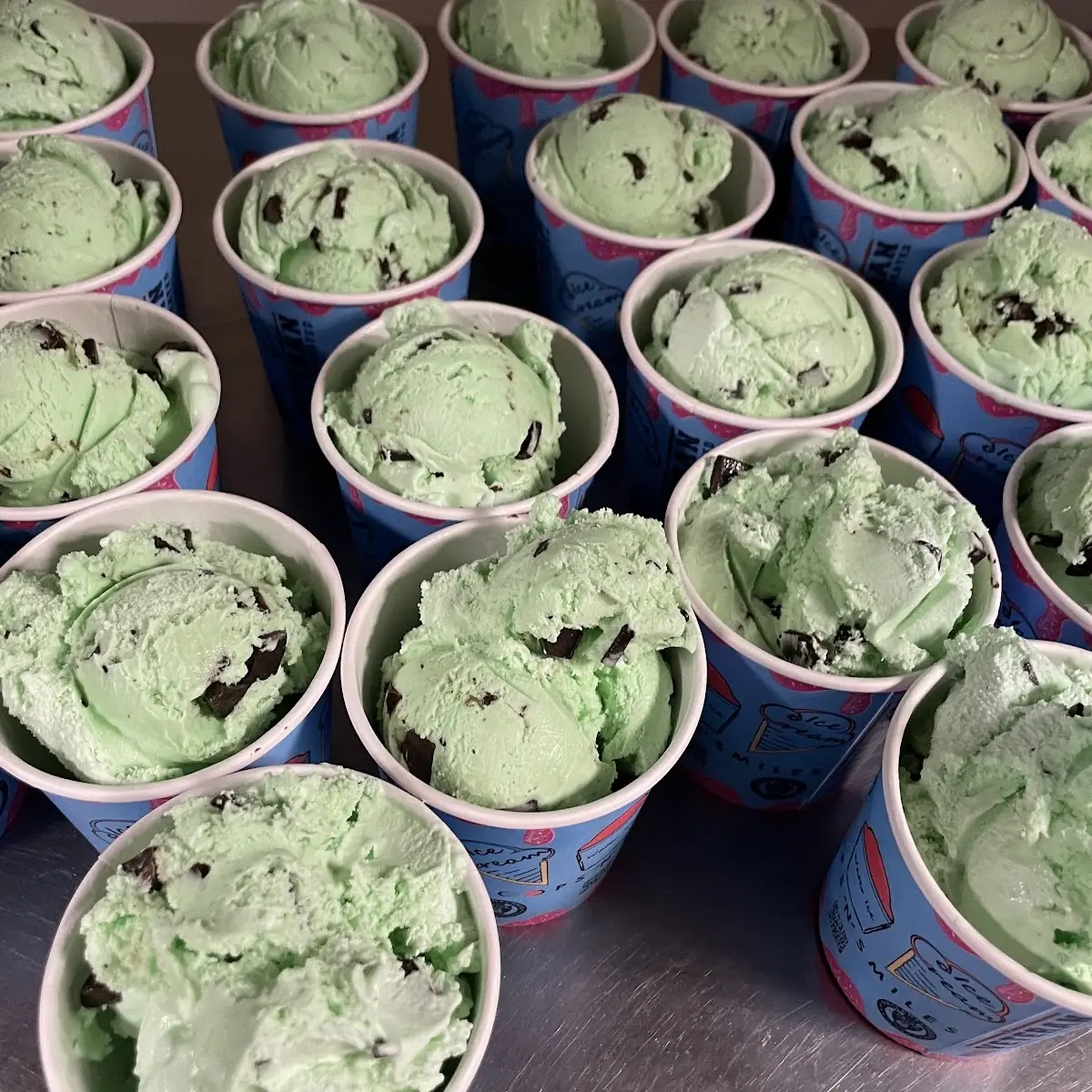 Mint Chocolate Chip