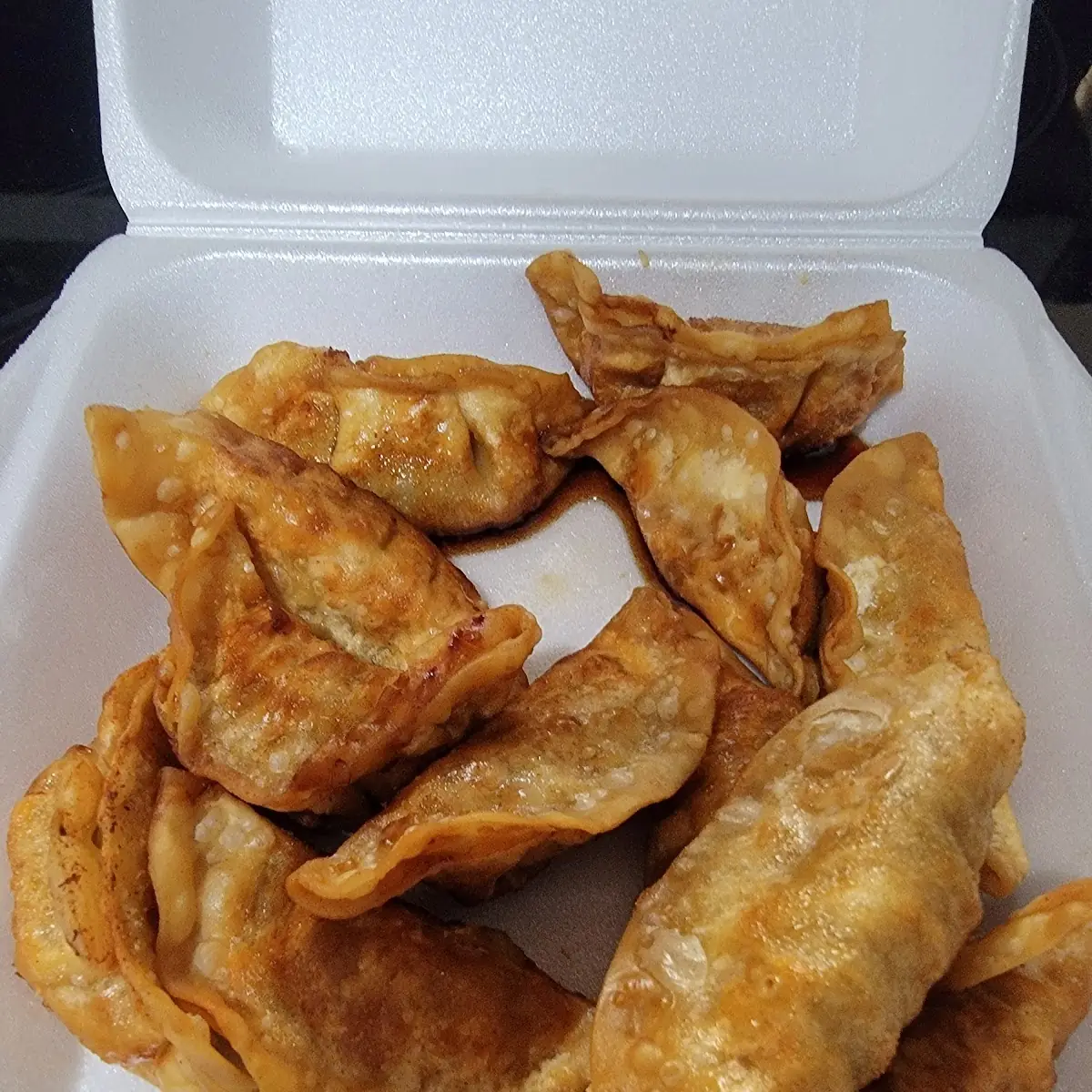 Fried Dumplings 12
