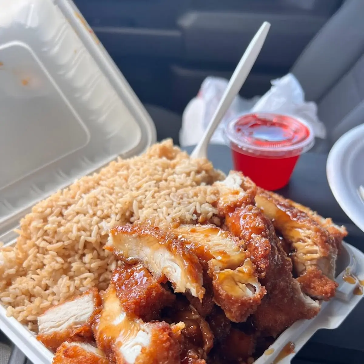 Garlic Chicken with Fried Rice