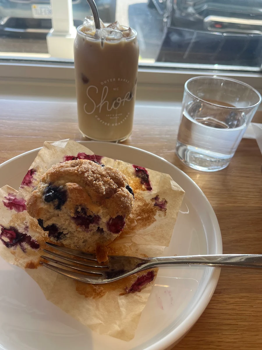 Blueberry Muffin