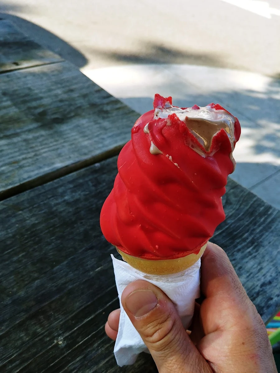 Strawberry Dipped Chocolate Ice Cream