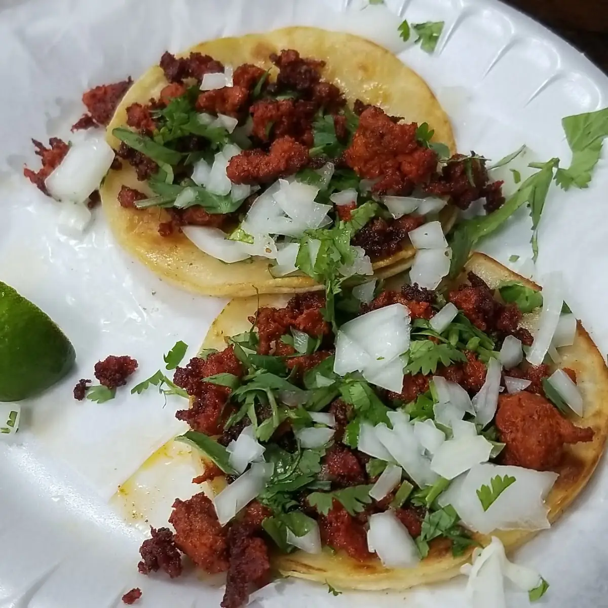 Taco a Mano Handmade Tortilla Taco