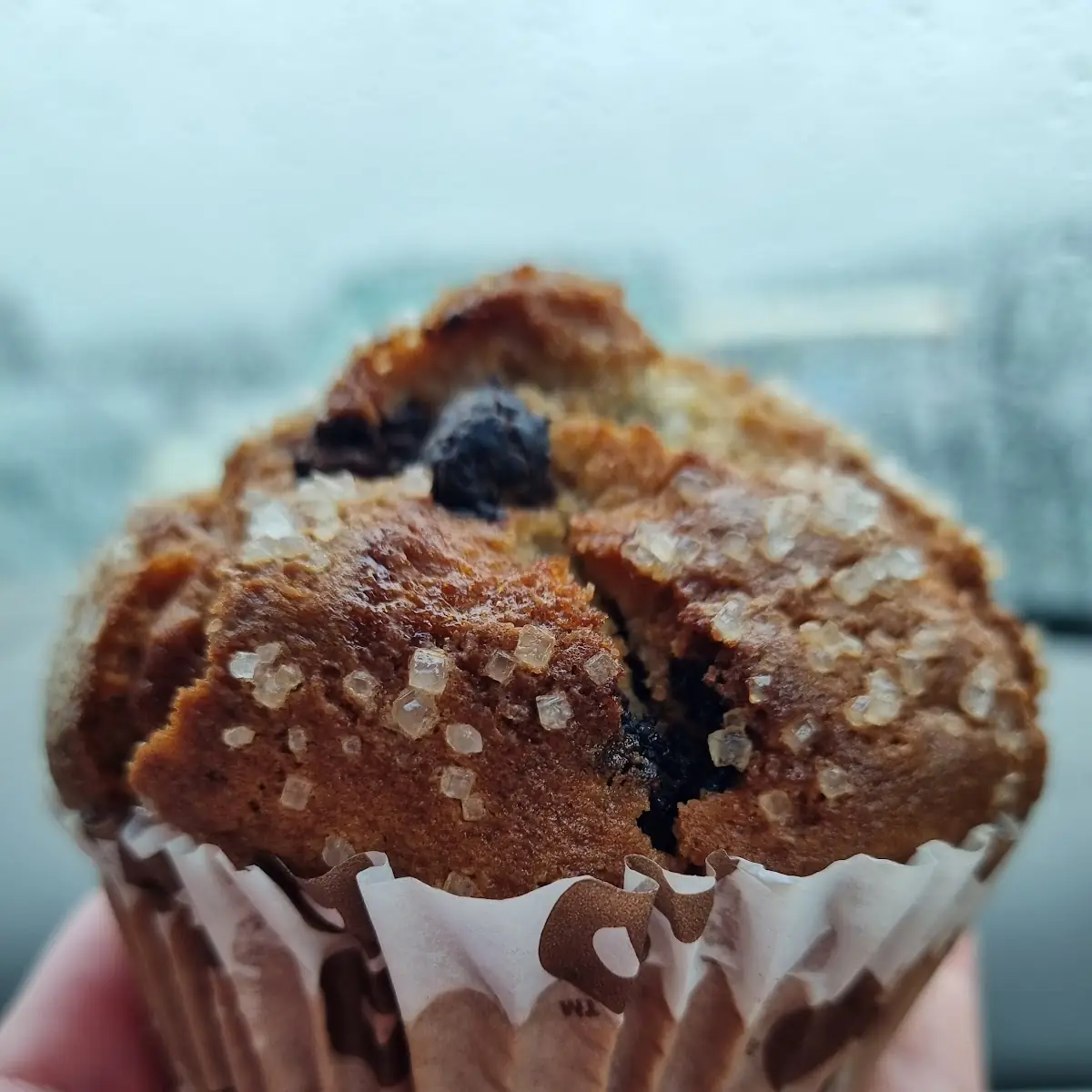 Chocolate Chip Muffin