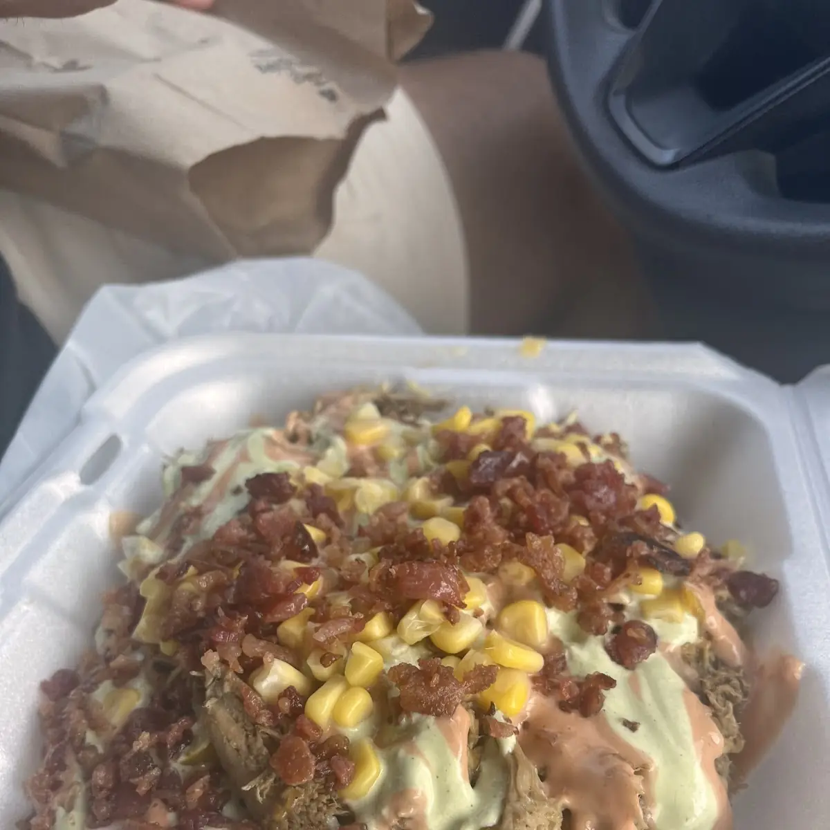 Yaroa De Pollo Y Papas Loaded Fries
