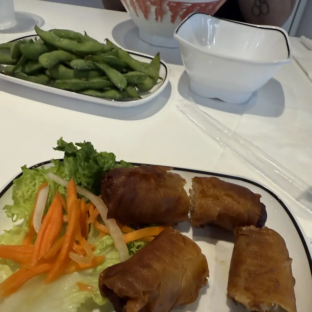 Vegetarian Spring Rolls