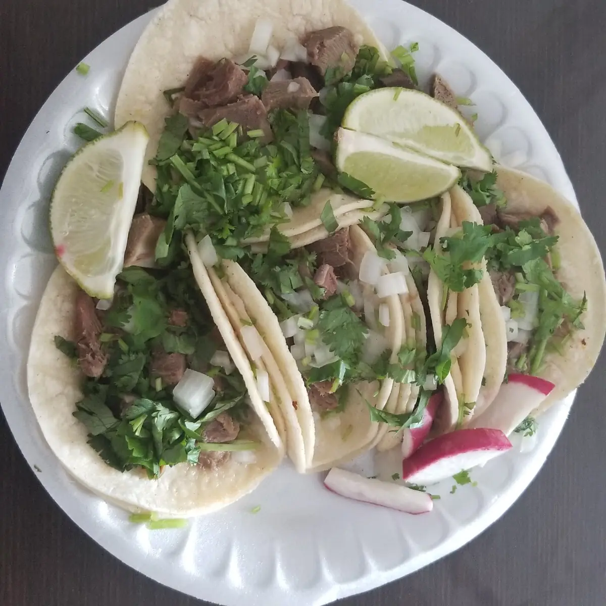 Tacos Campech 4 Nos
