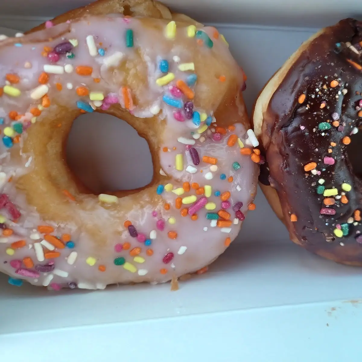 Doughnut