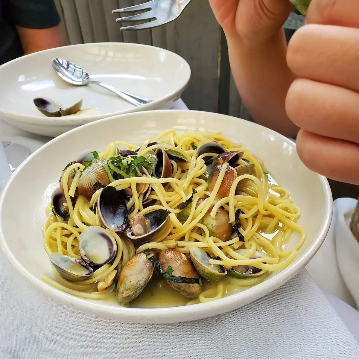Trenette Alle Vongole