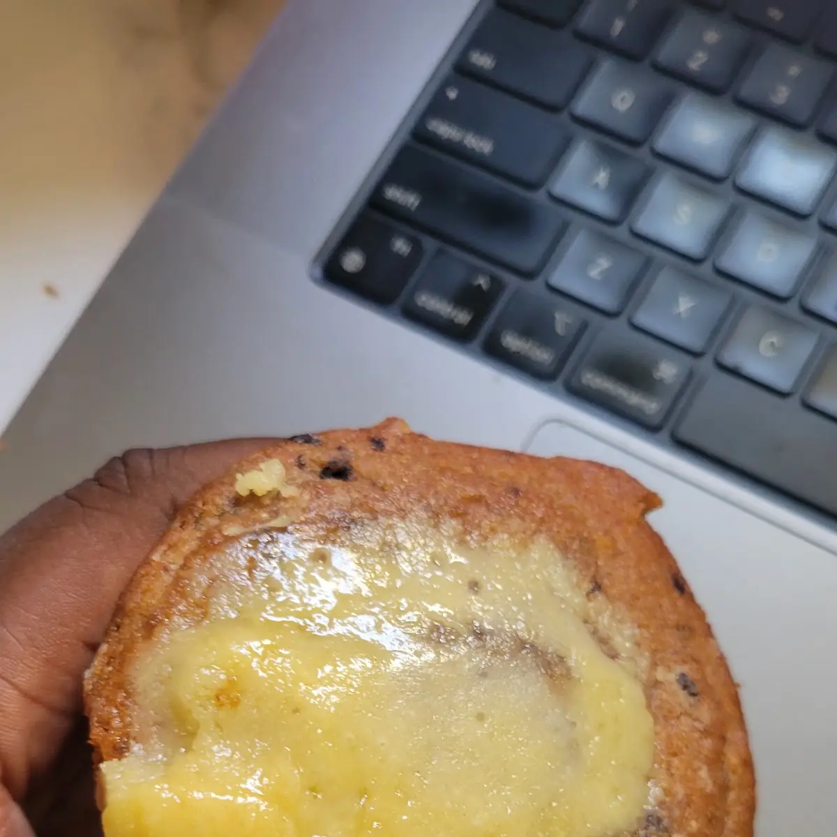 Blueberry Muffin