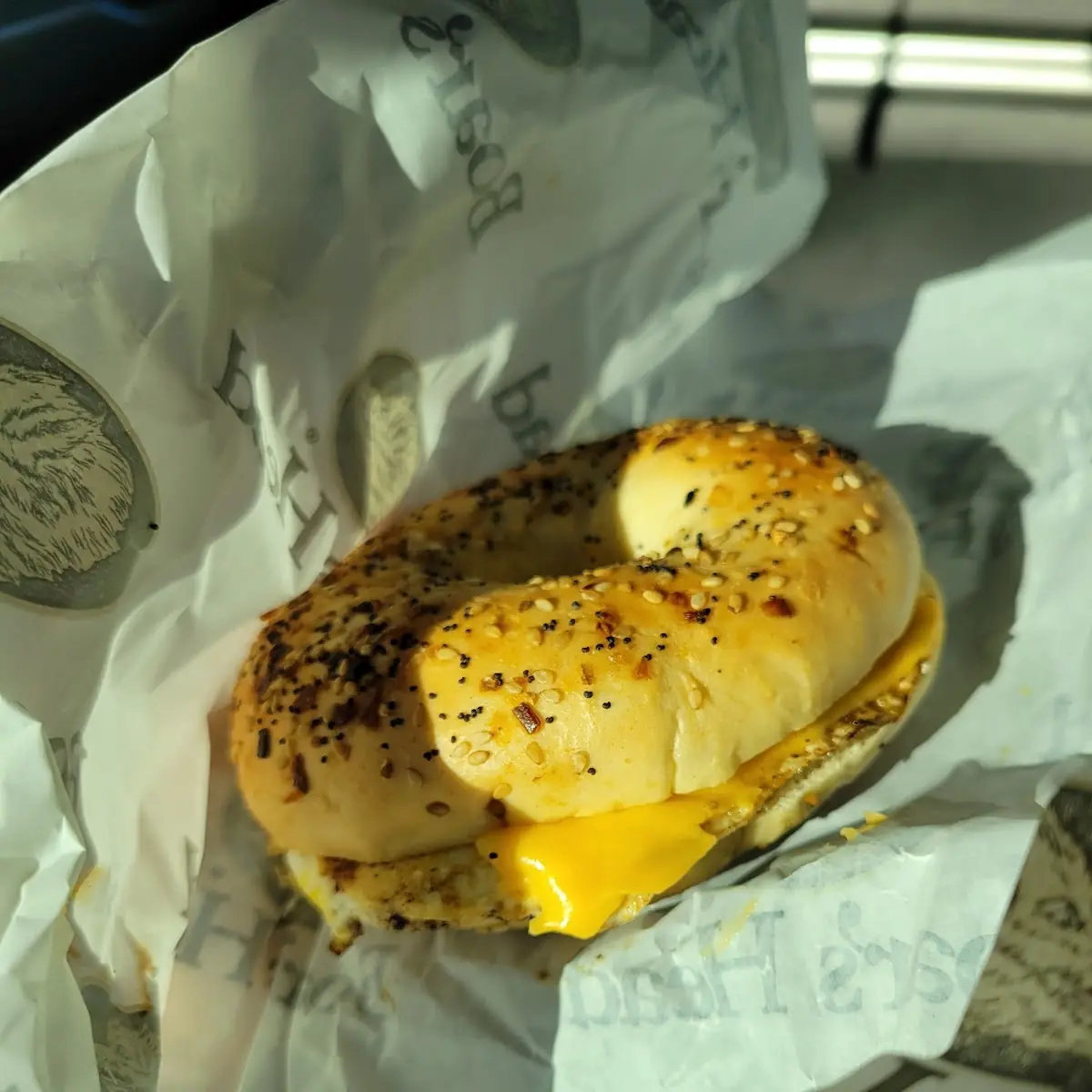 Egg and Cheese Everything Bagel