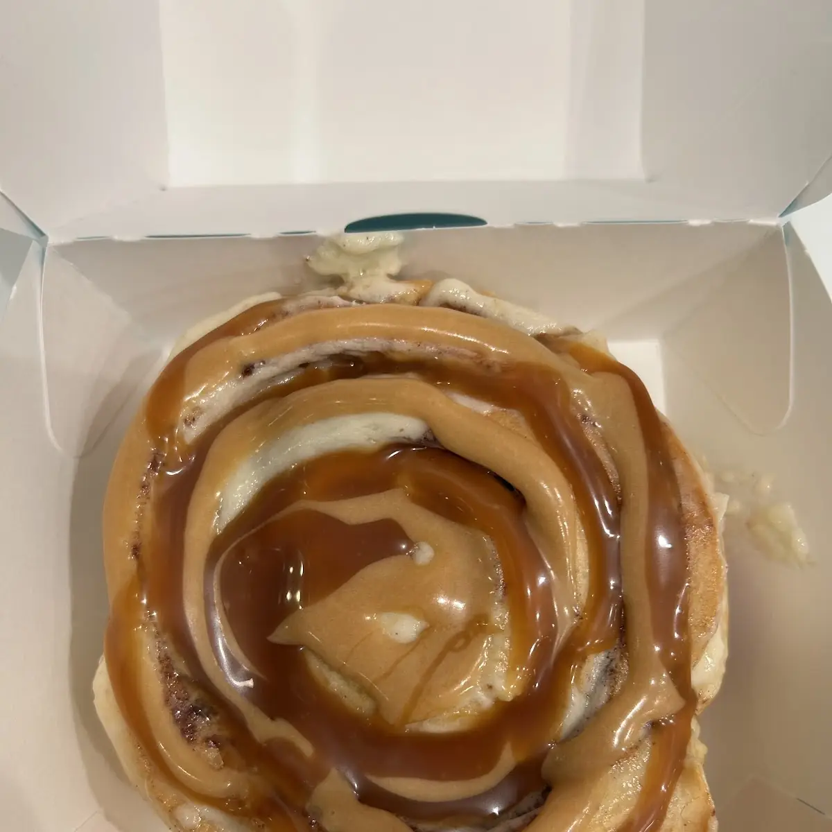 Turtle Cinnamon Roll