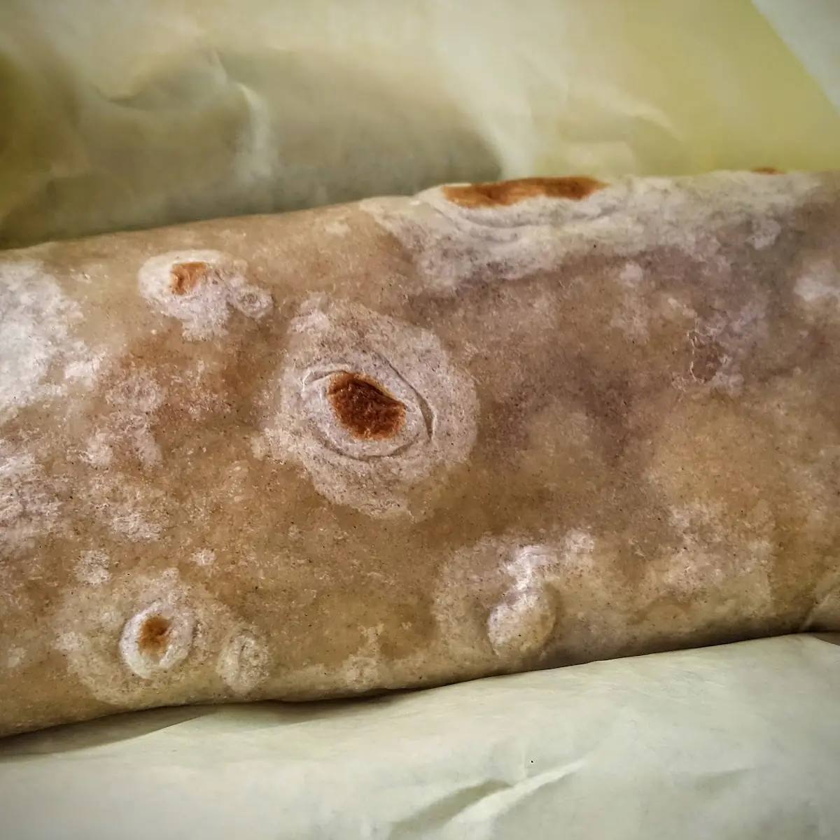 Chile Relleno Burrito