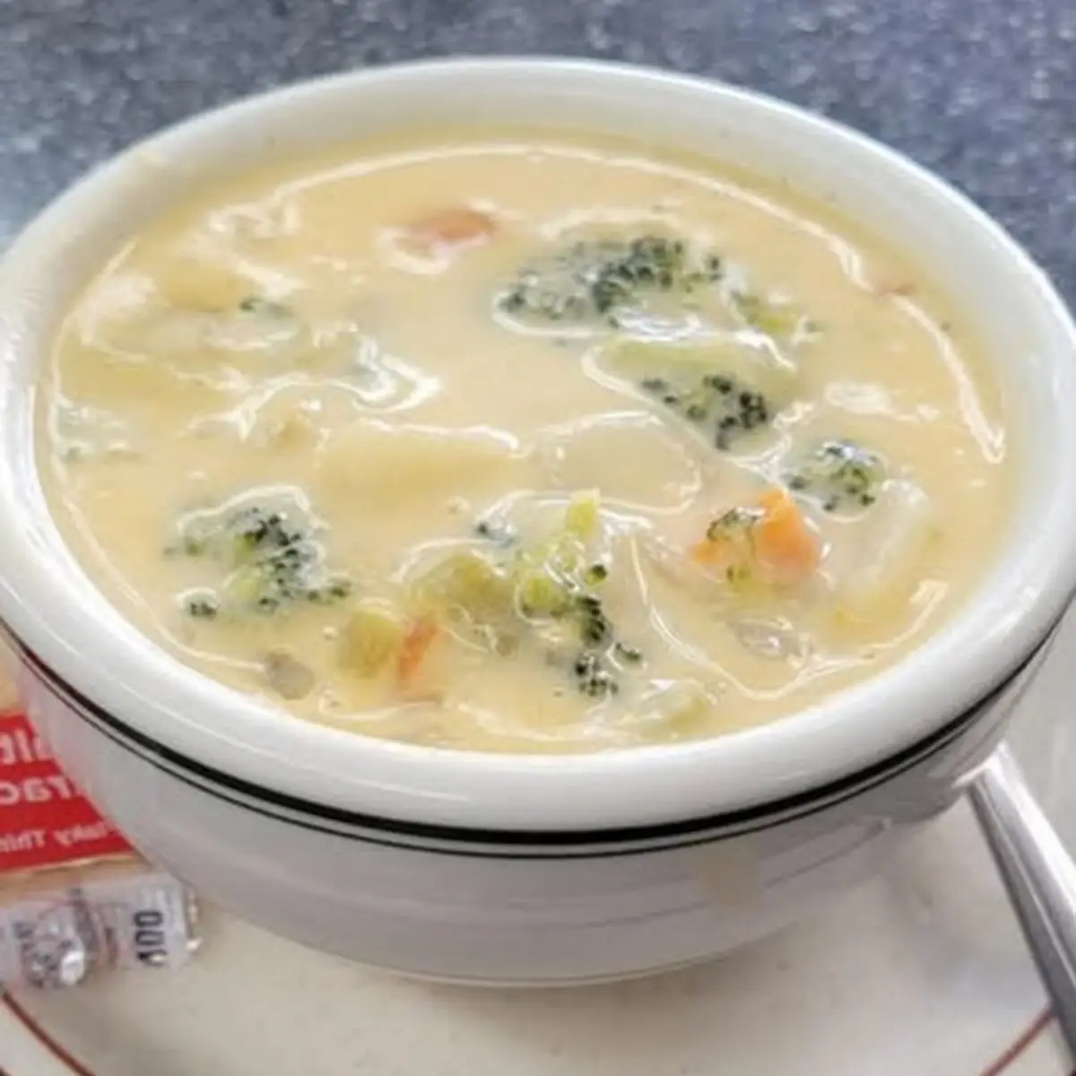 Cheesy Vegetable Soup