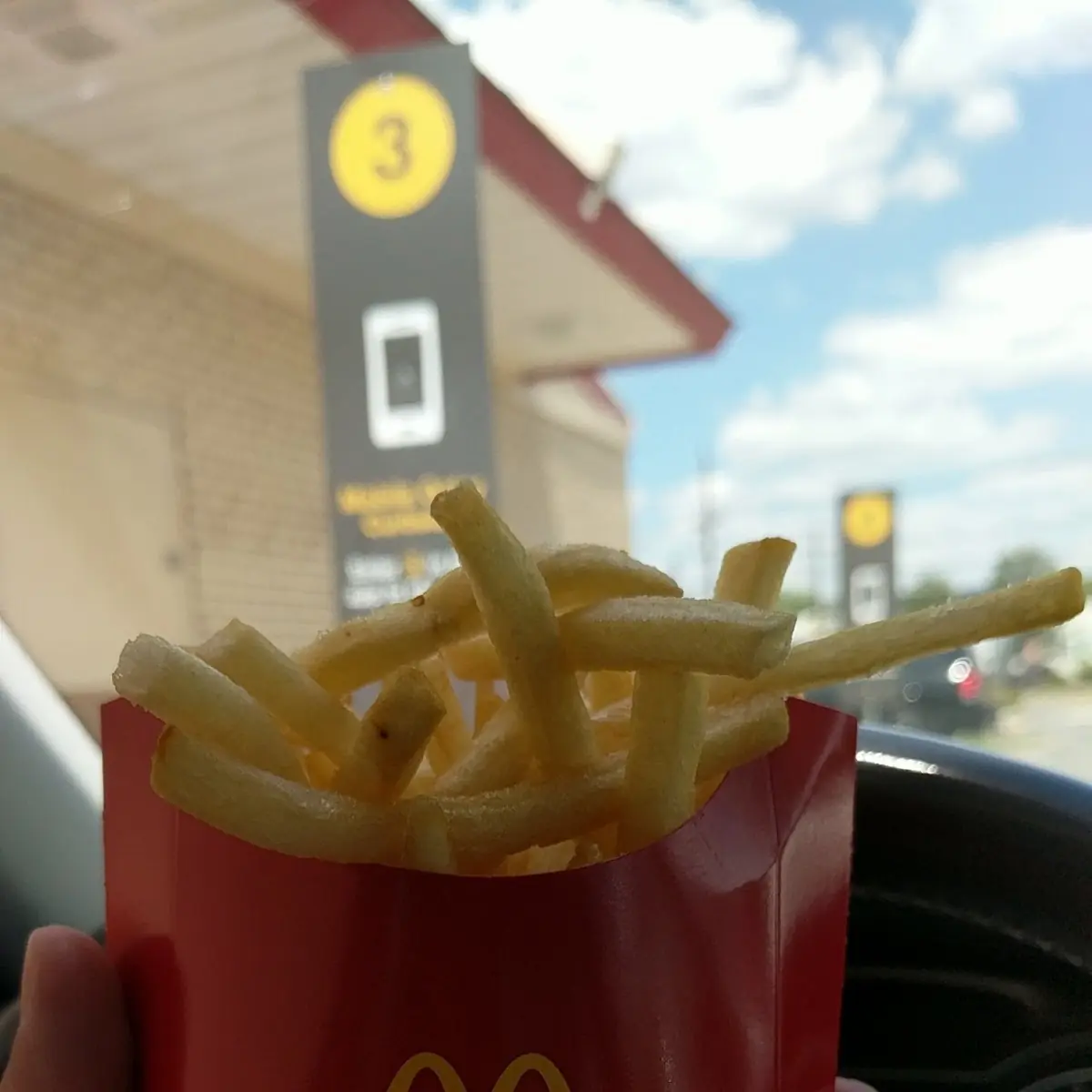 Medium Fries