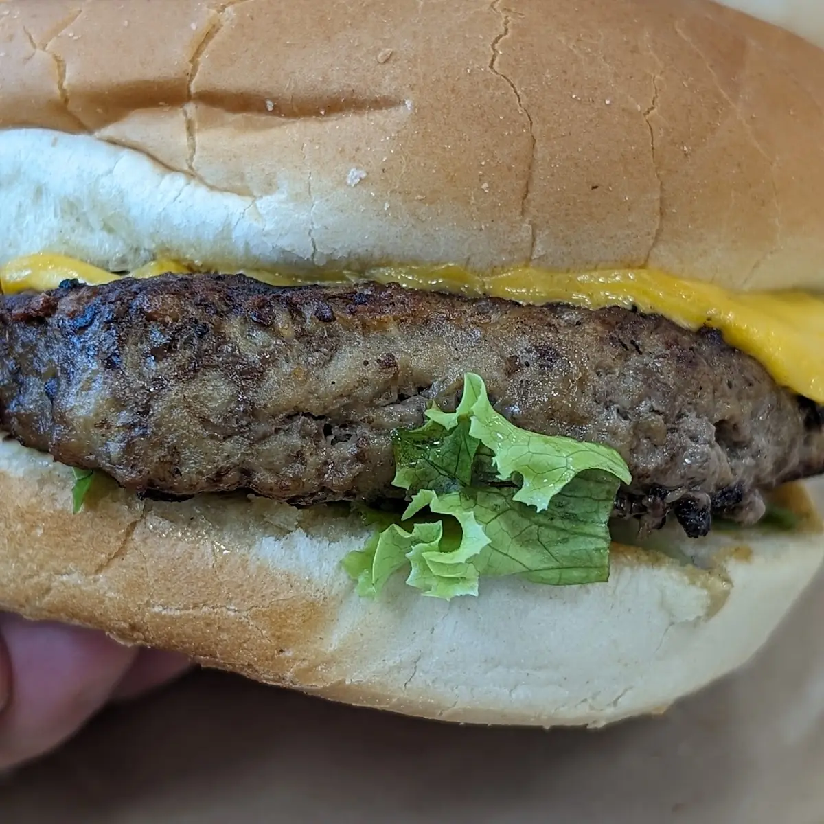 Cheese Burger