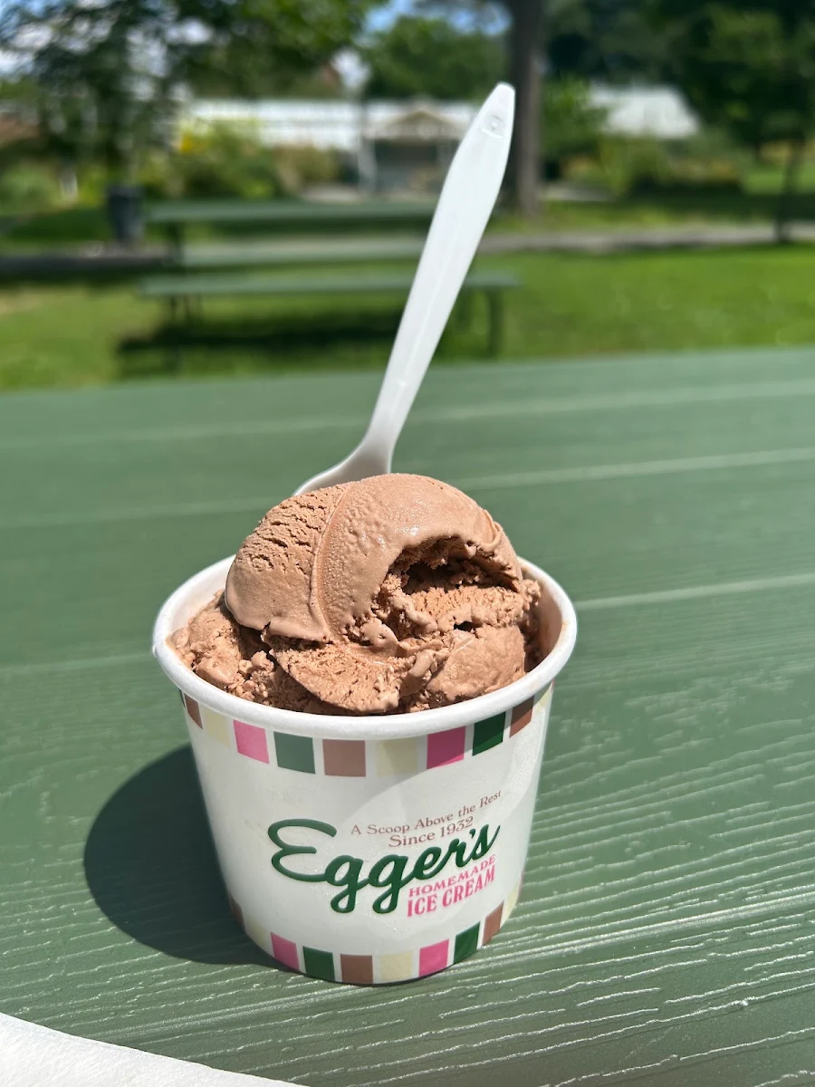 Chocolate Ice Cream