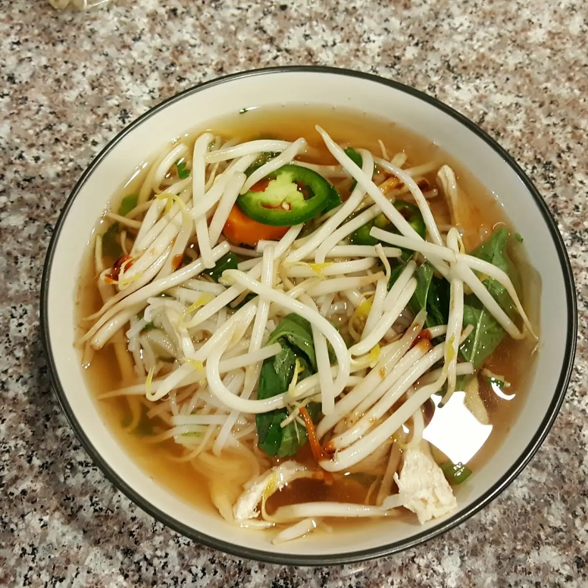Chicken and Vegetable Soup