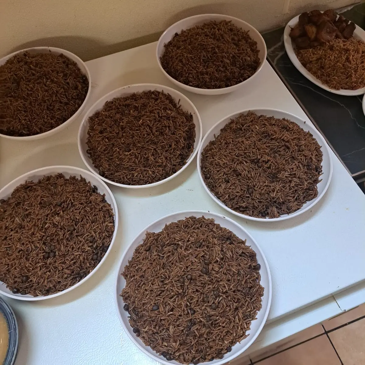 Black Rice Djon Djon
