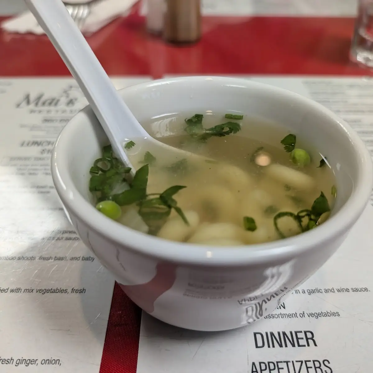 Wonton Soup
