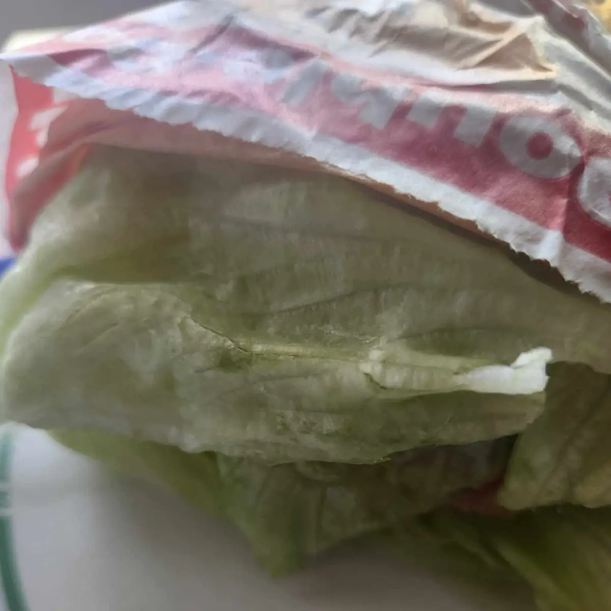 Protein Burger Double Cheese Burger
