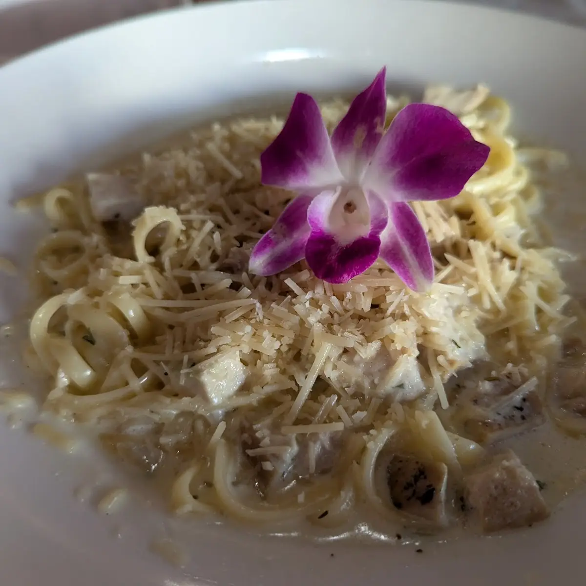 Chicken Alfredo