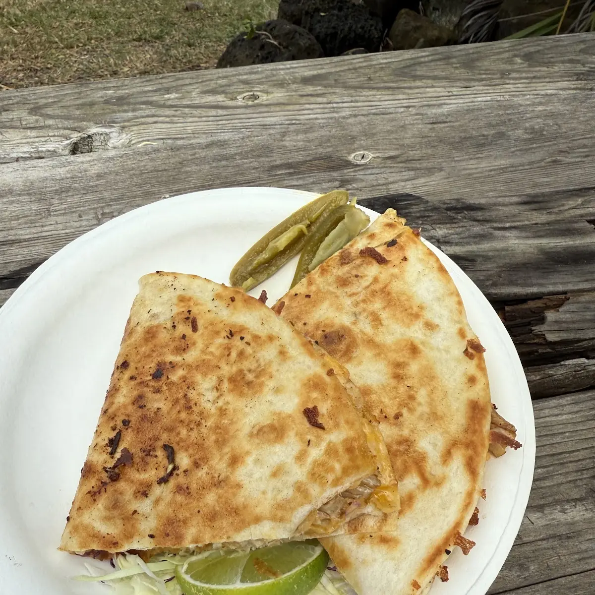 Chicken Quesadilla