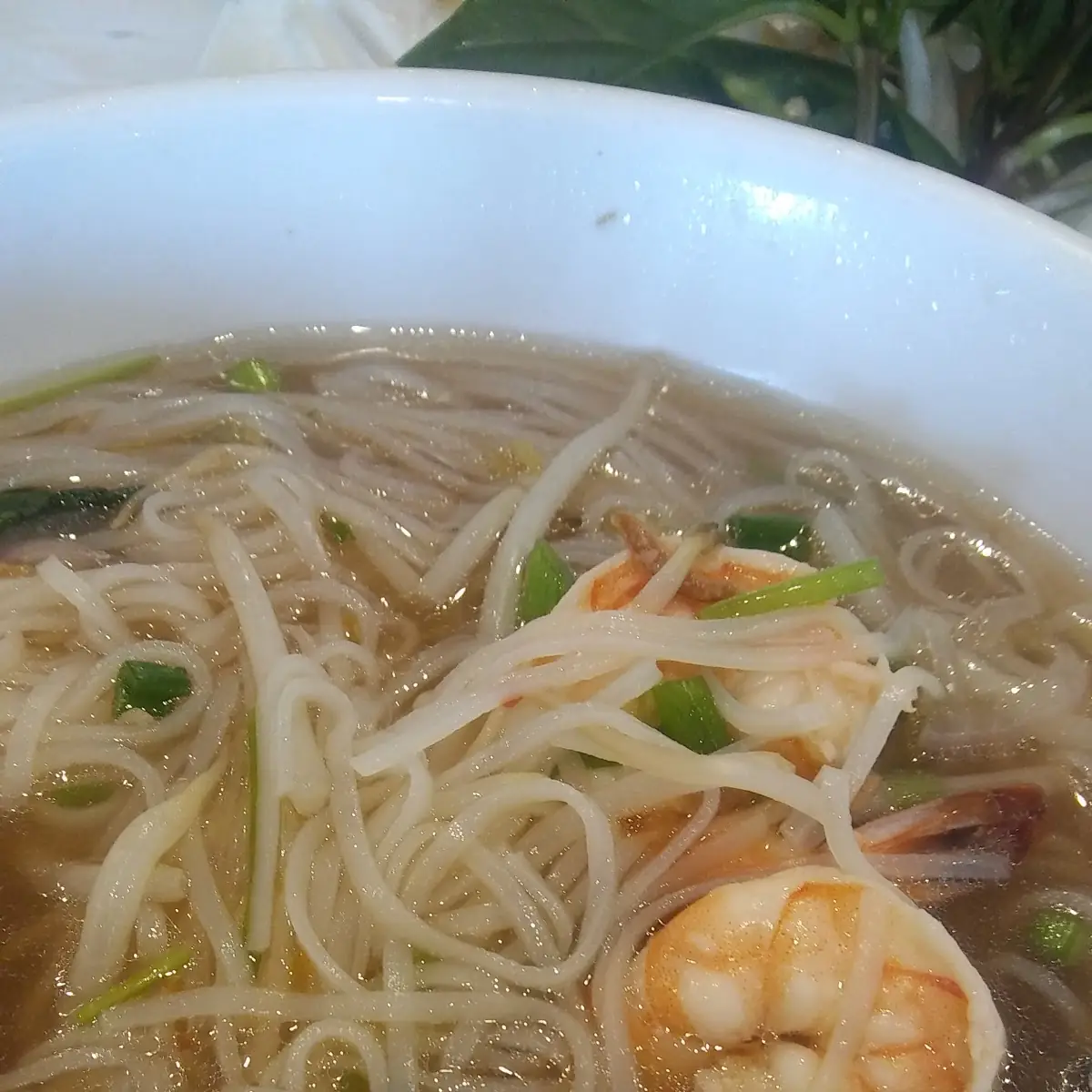 Shrimp Pho