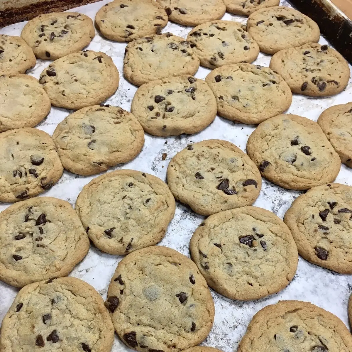 Fresh Baked Chocolate Chip Cookie