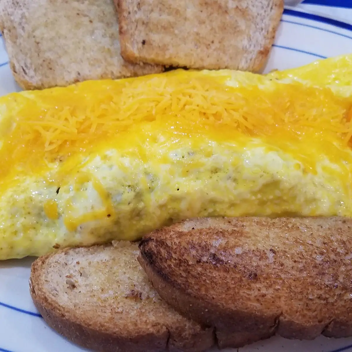 Western Omelette