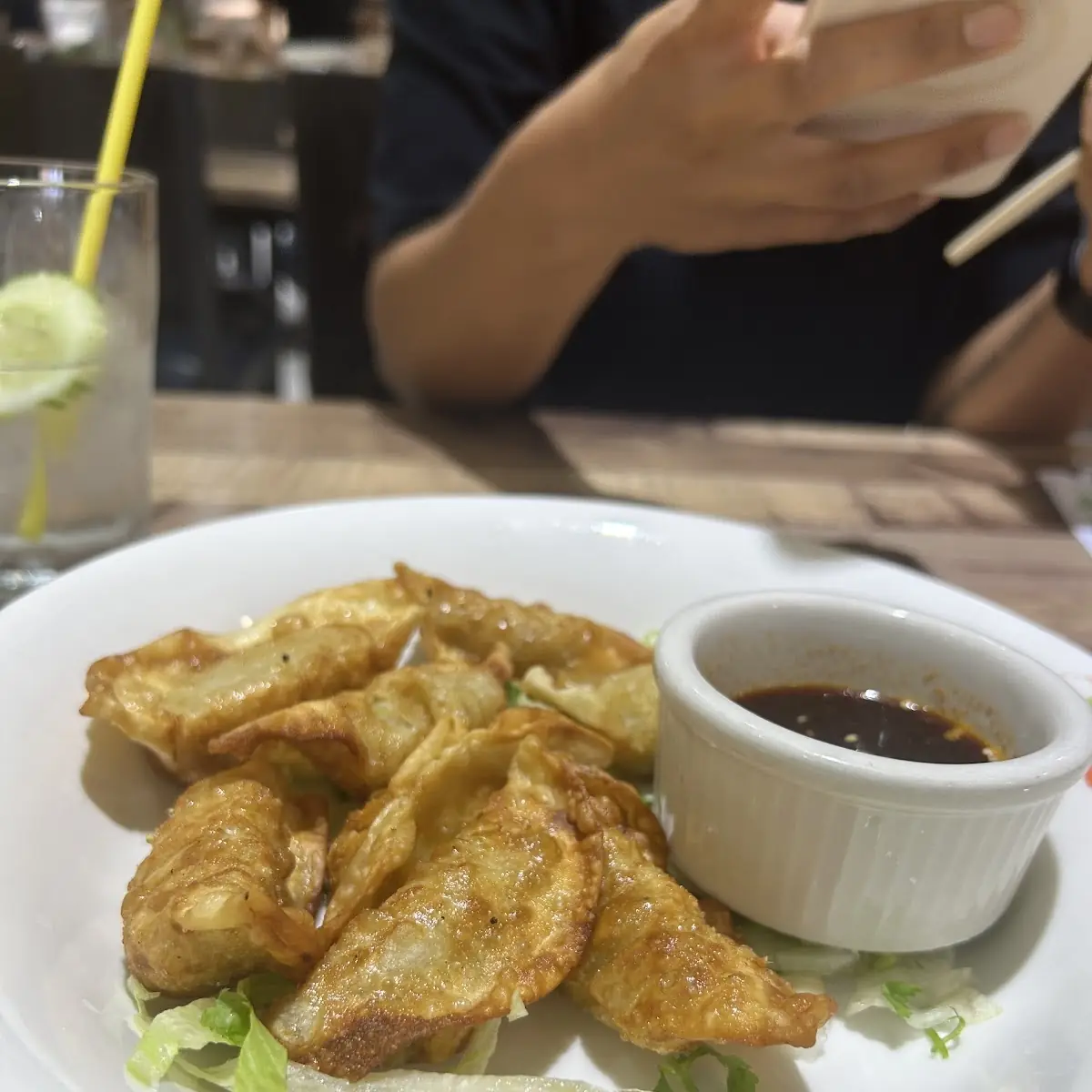 Fried Chicken Dumplings
