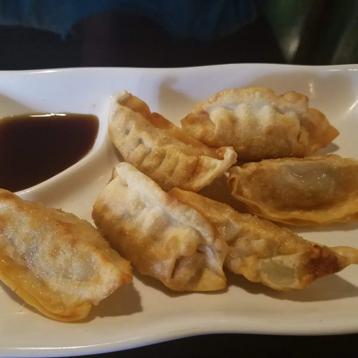 Gyoza