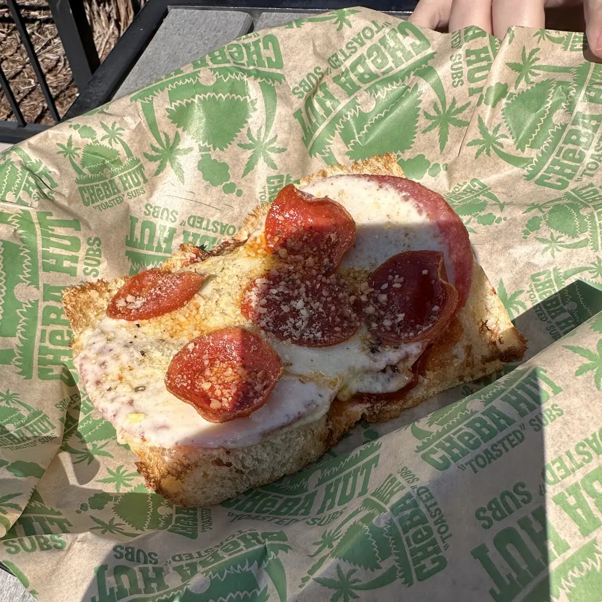 Dank Pizza Sub