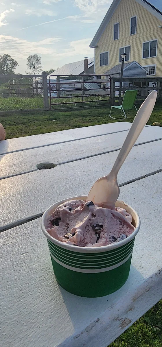 Cherry Chocolate Chip