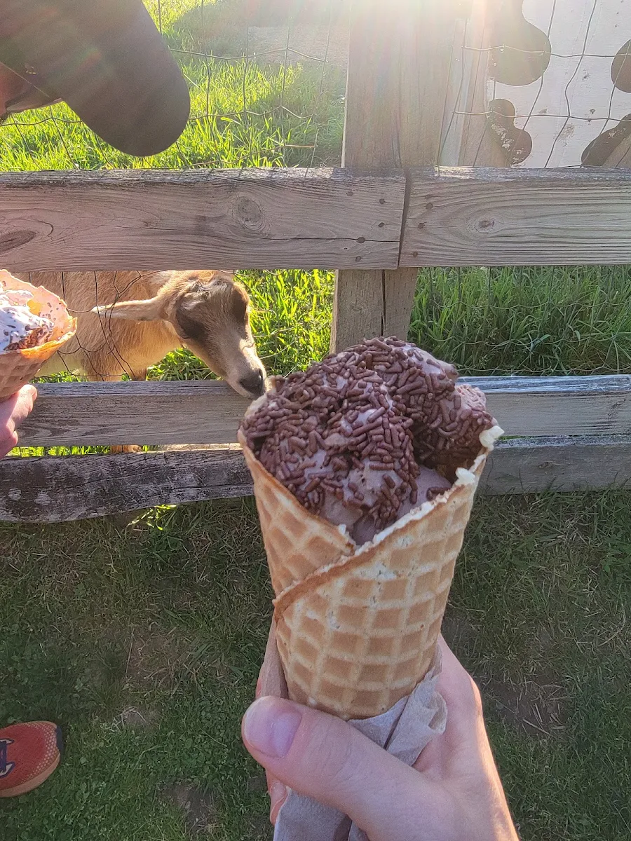 Ice Cream Cone