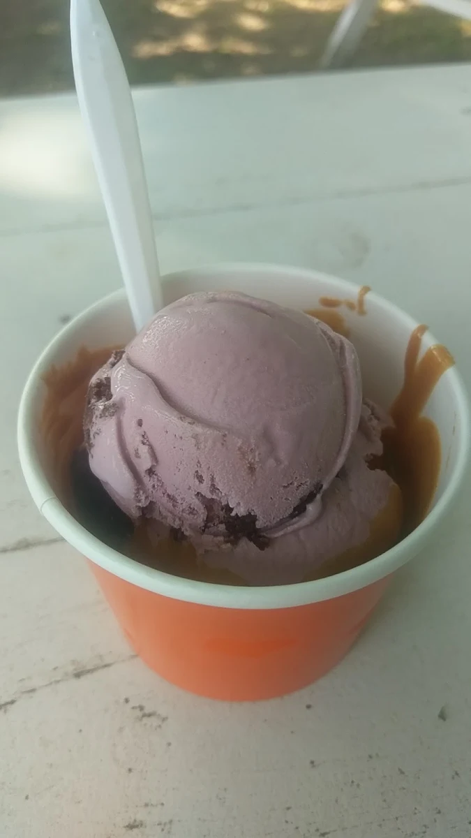 Raspberry Chocolate Chip with Peanut Butter Sauce