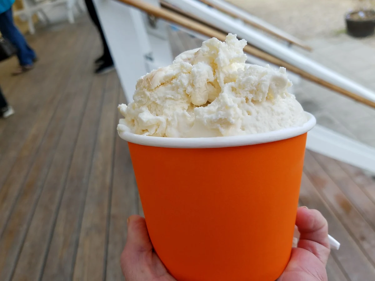 Vanilla Bean Ice Cream