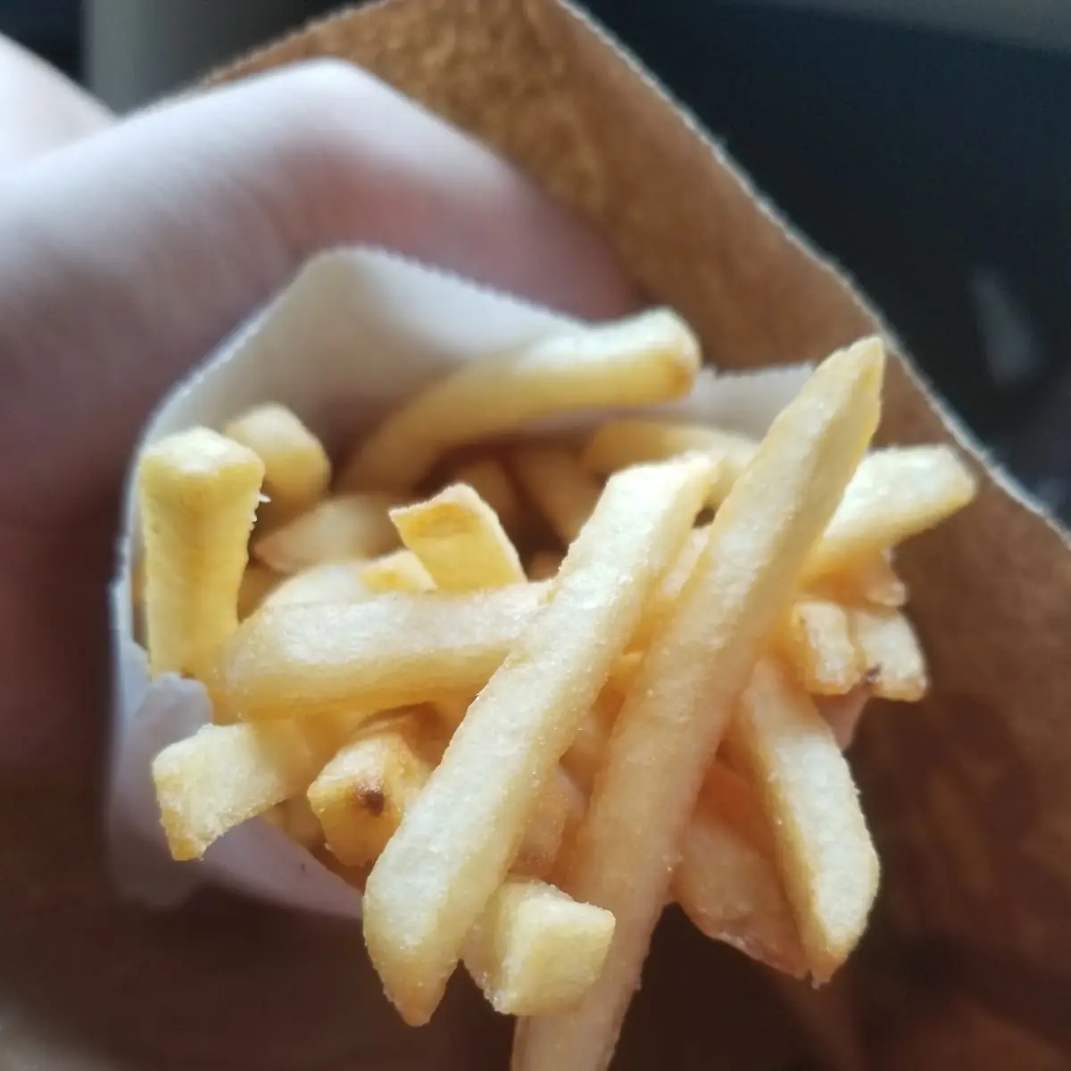 World Famous Fries