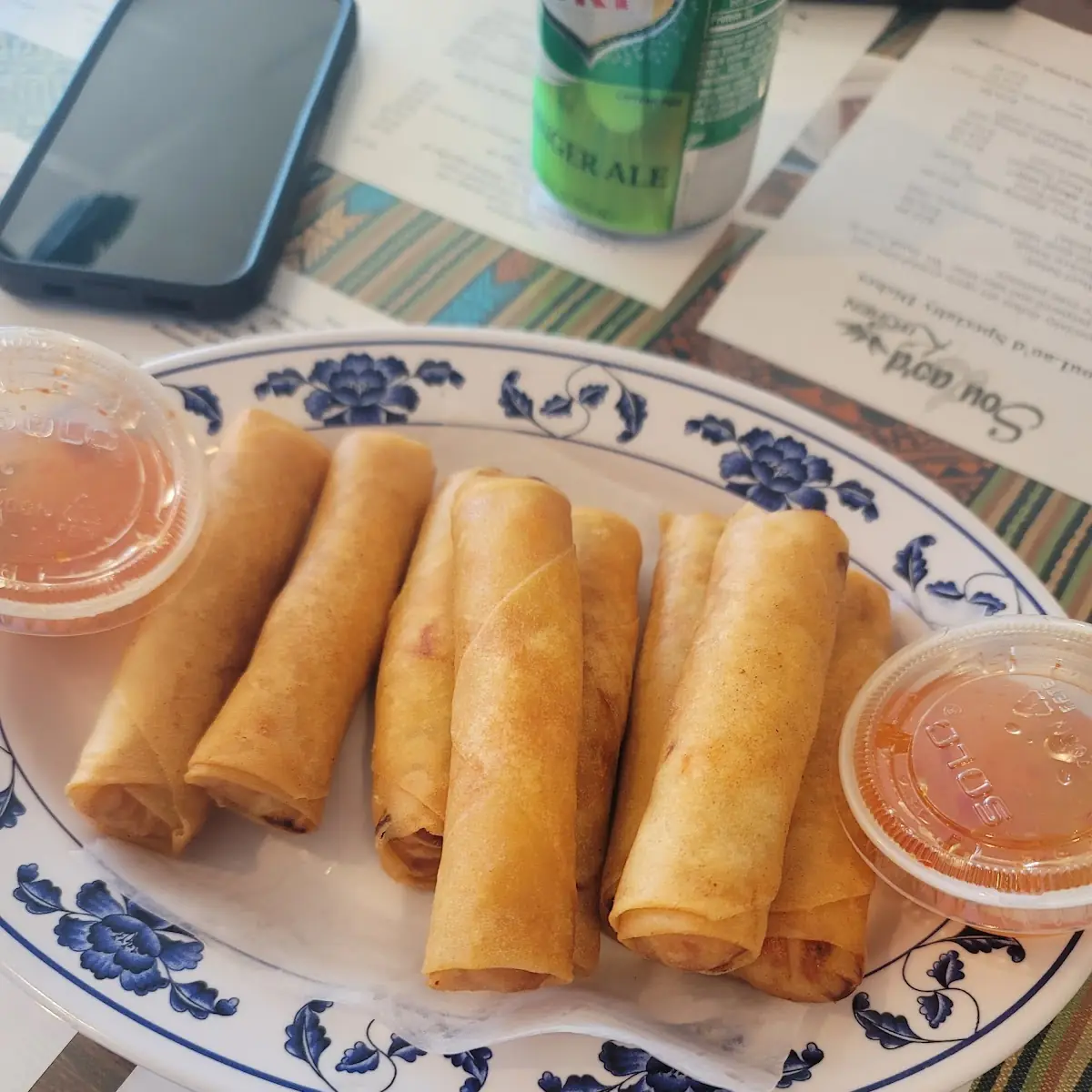 Fresh Vegetable Spring Rolls