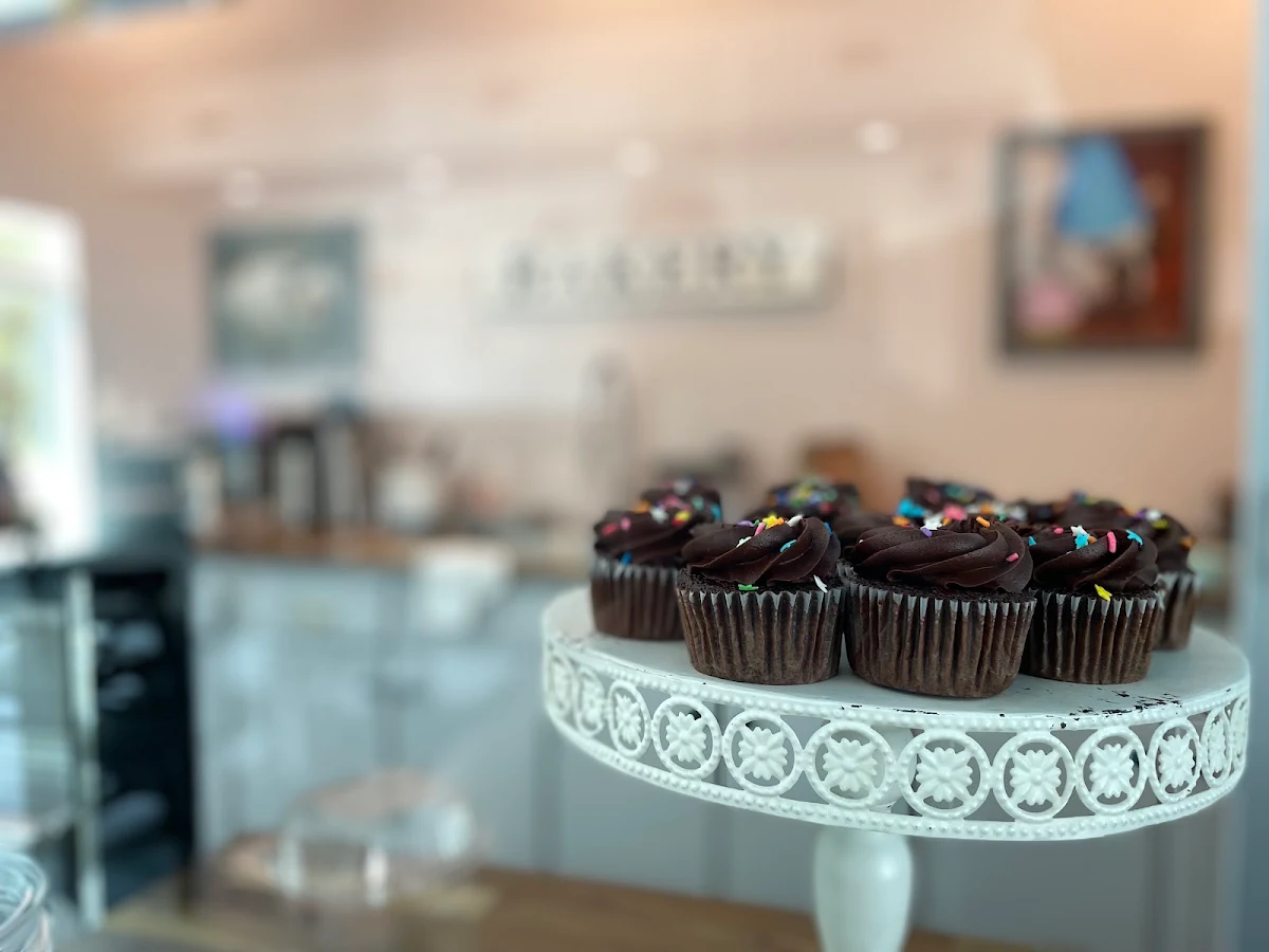 Chocolate Cupcakes