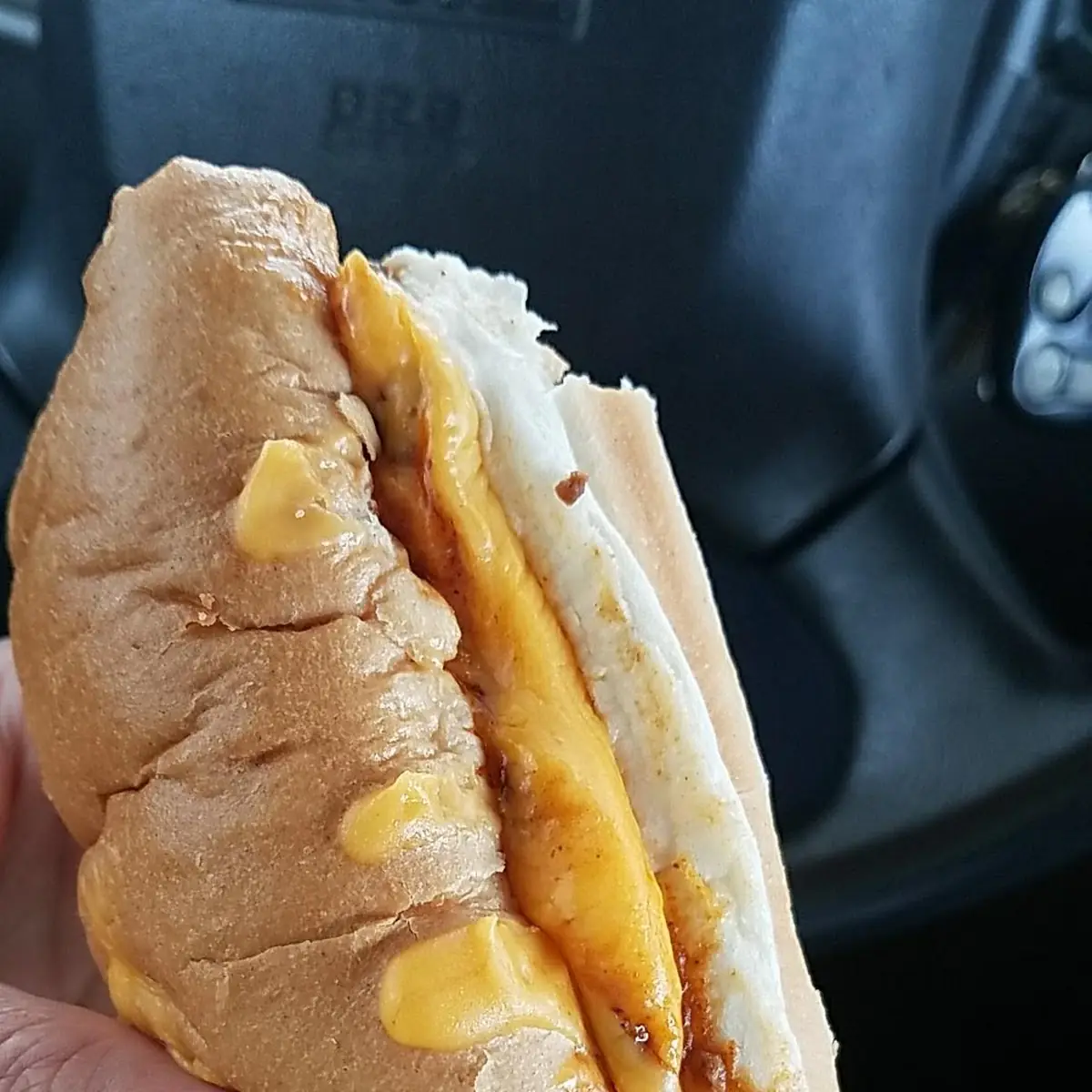 Chili Cheese Dog