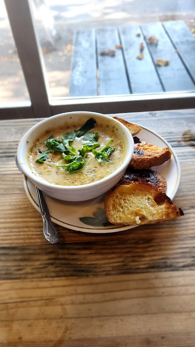 Onion Soup