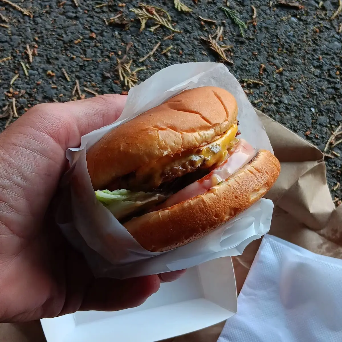 Bacon Cheeseburger
