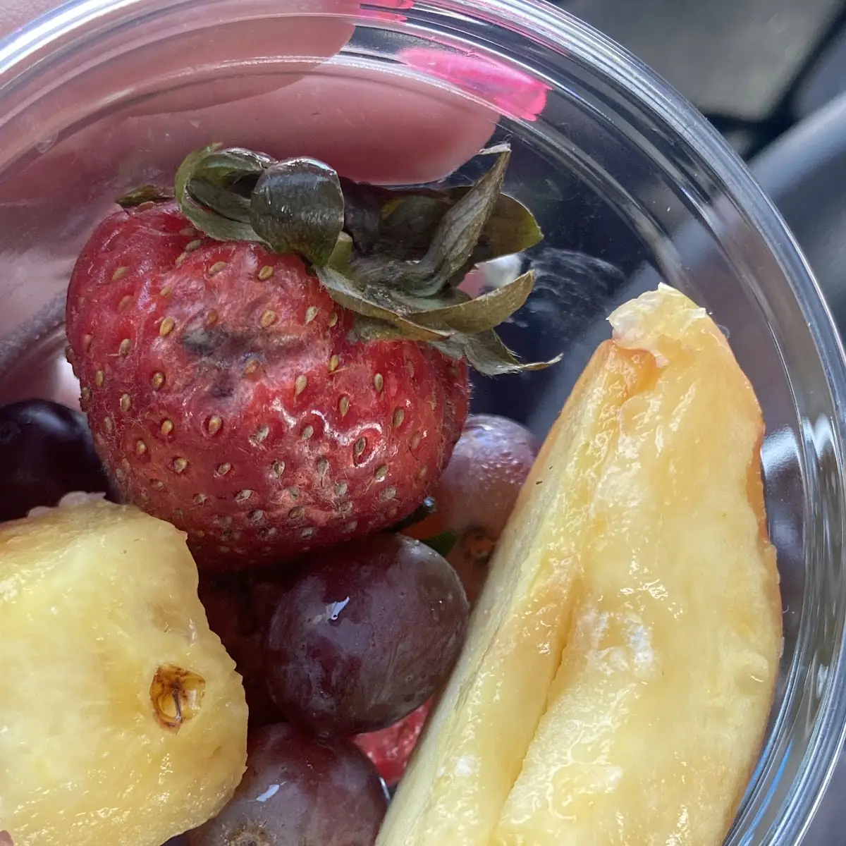 Fruit Cup