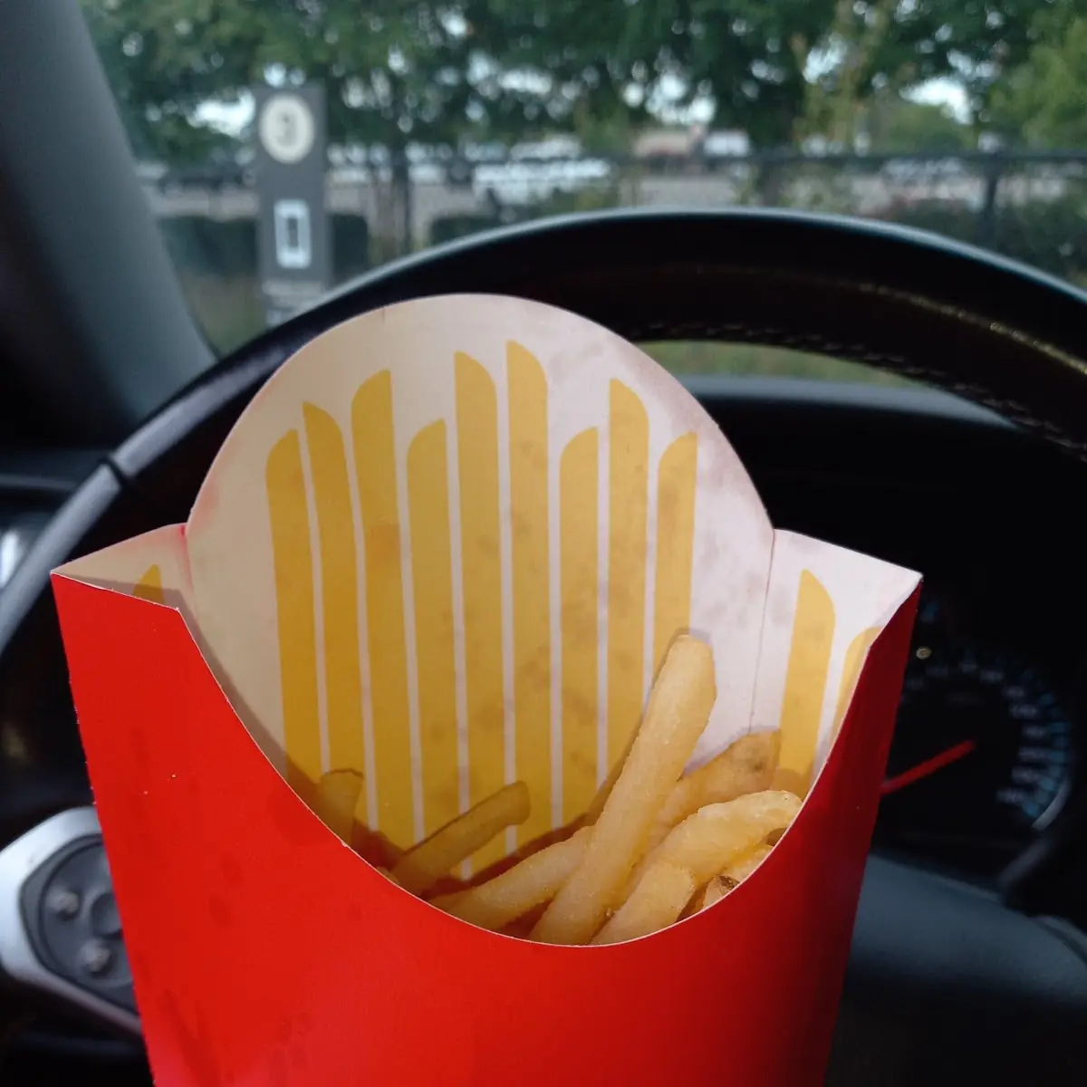 French Fries