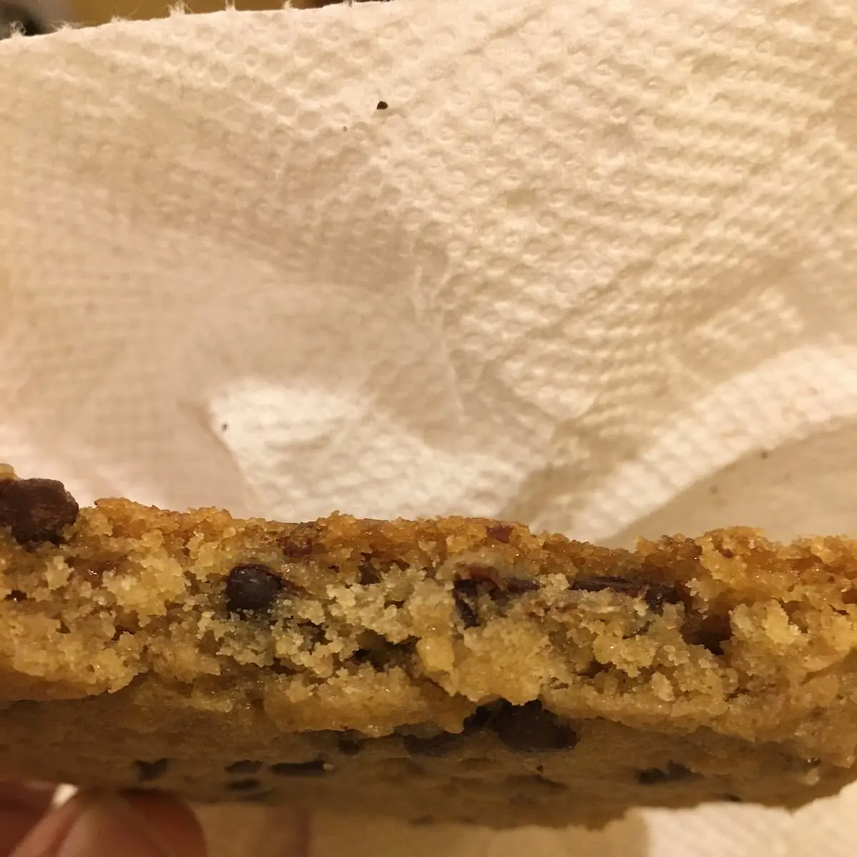 Vegan Chocolate Chip