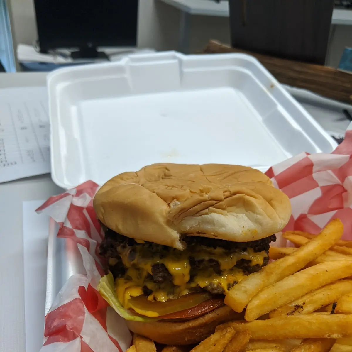 Cheese Burger and Fries