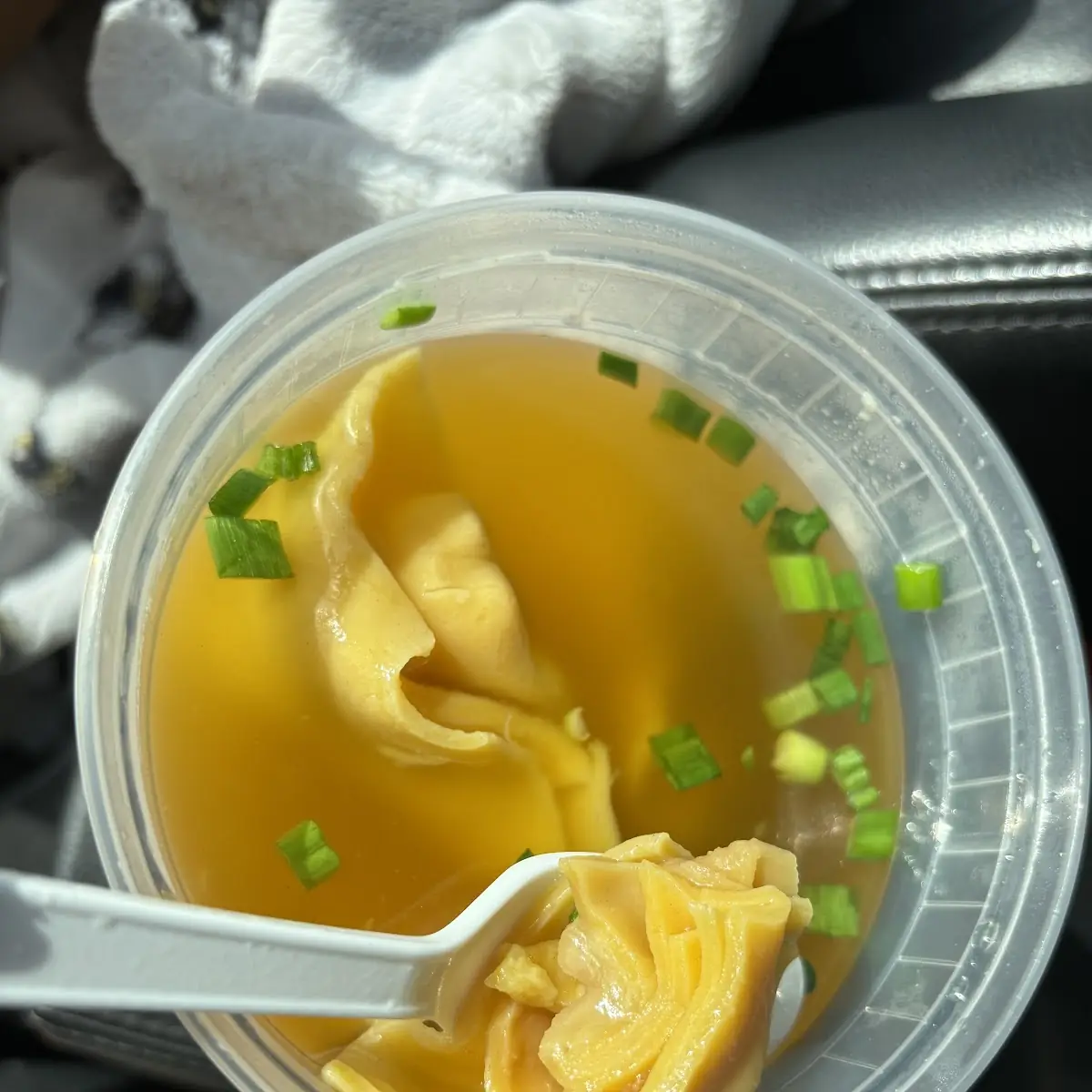 Wonton Soup