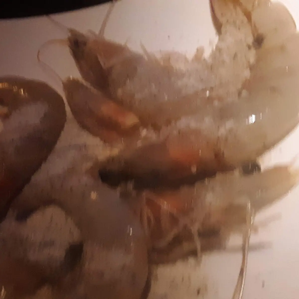 Head-On Raw Shrimp