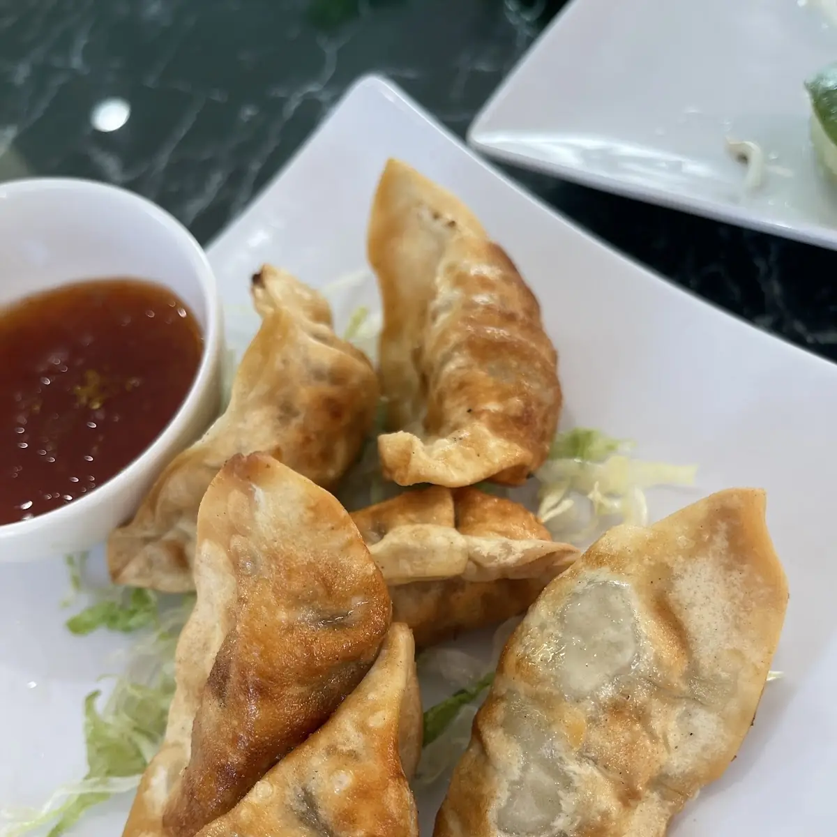 Pork Gyoza
