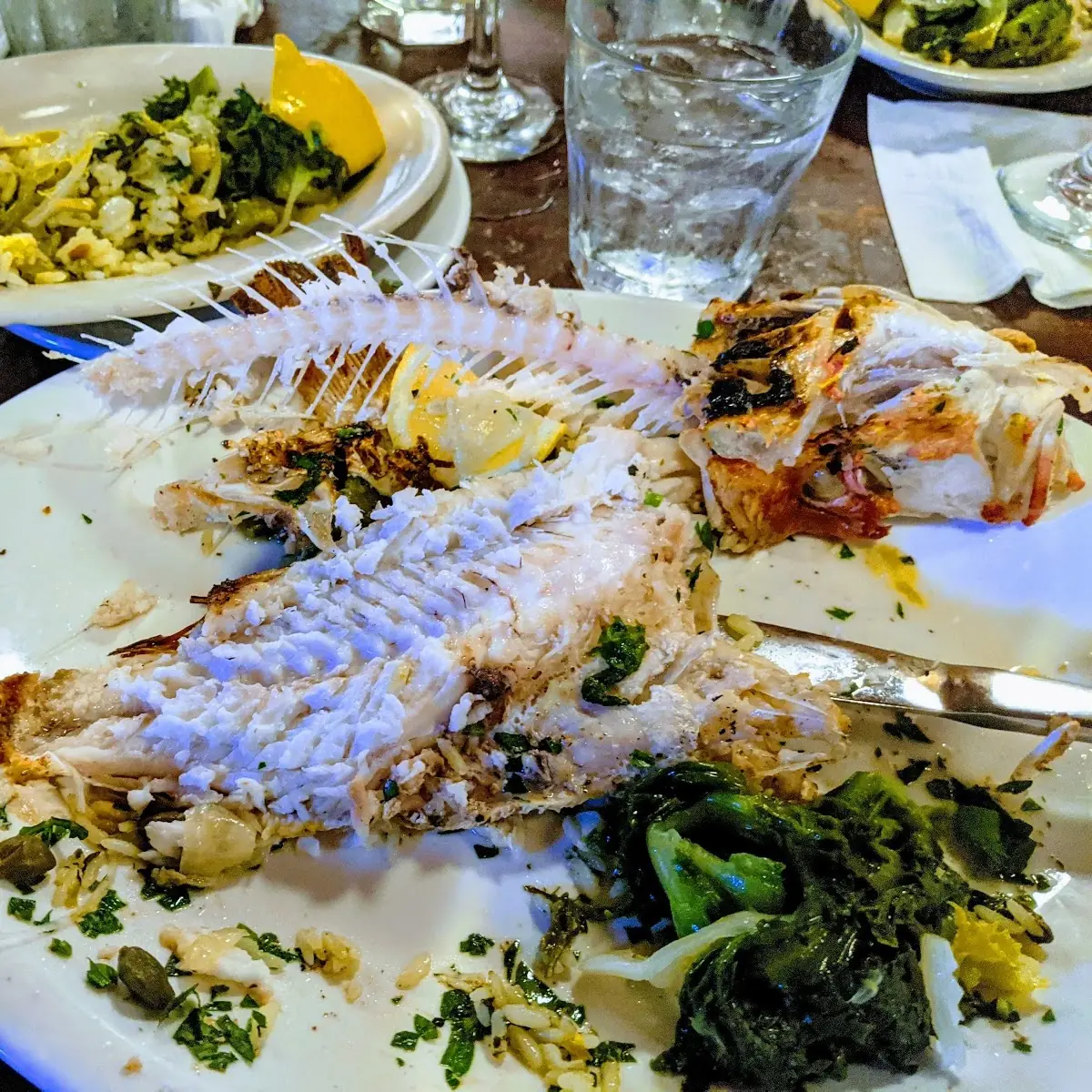 Sea Bass